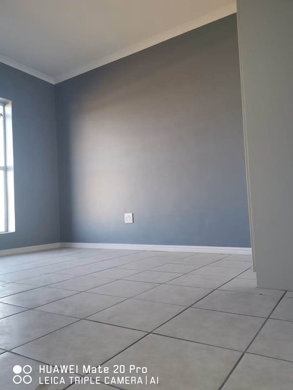 Freshly painted interior accent wall